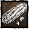 Choclo Corn