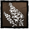 Foxglove