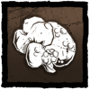 Rat Liver
