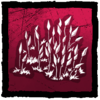 Red Moss