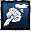 Violet Waxcap