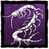 Red-Headed Centipede