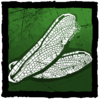 Dragonfly Wings