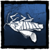 Dried Cicada
