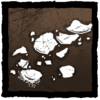 Powdered Eggshell