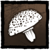 Amanita Toxin