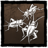 Lively Crickets